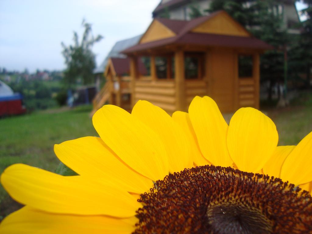 Homestay Apartamenty I Pokoje Pod Limbami - Sauna, Teznia *