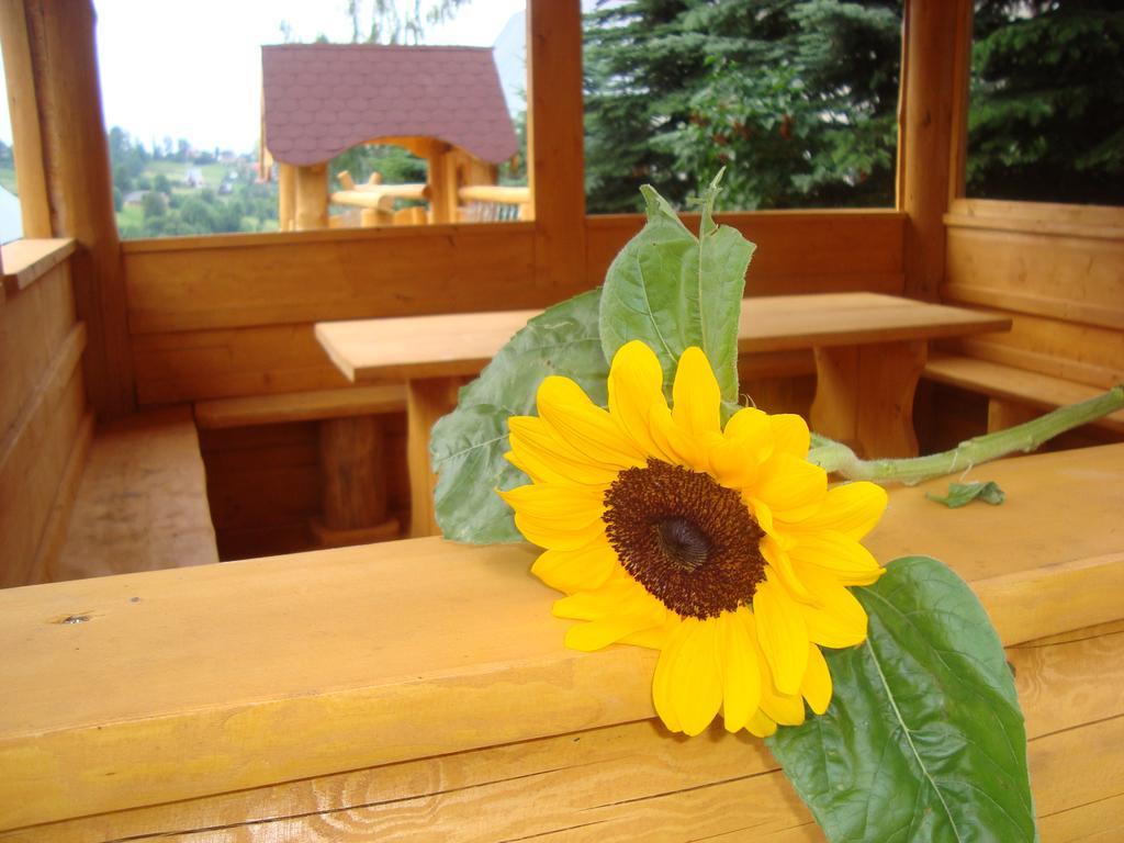 Homestay Apartamenty I Pokoje Pod Limbami - Sauna, Teznia Bukowina Tatrzanska
